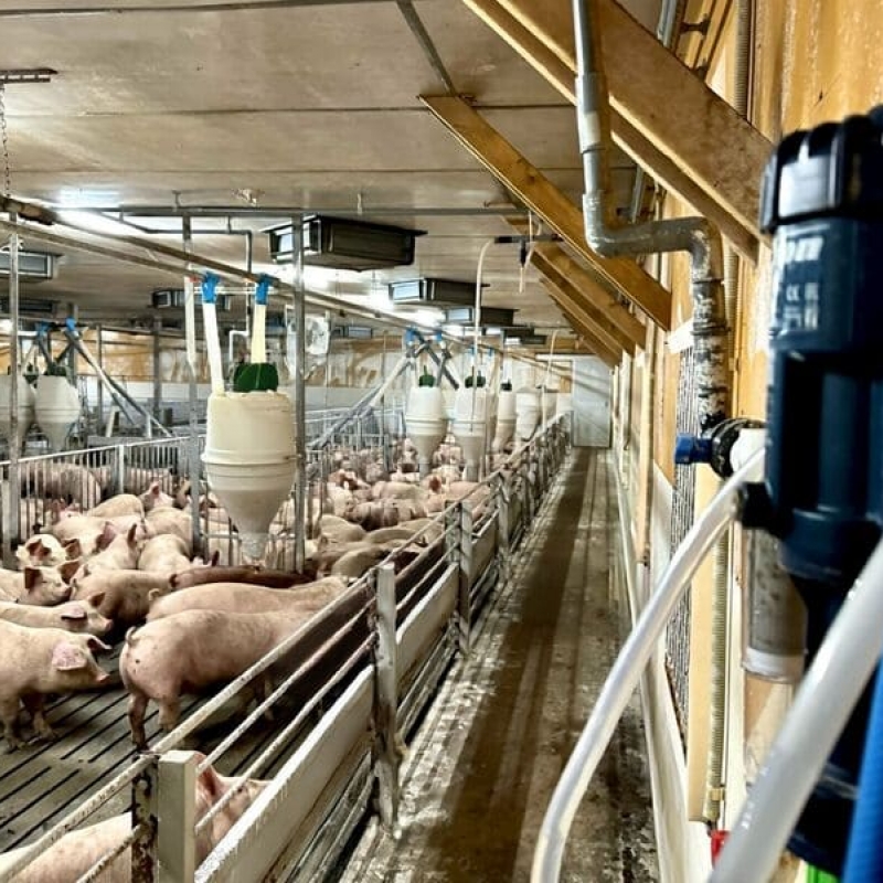 Un approfondimento sulle pompe dosatrici per la medicazione del bestiame