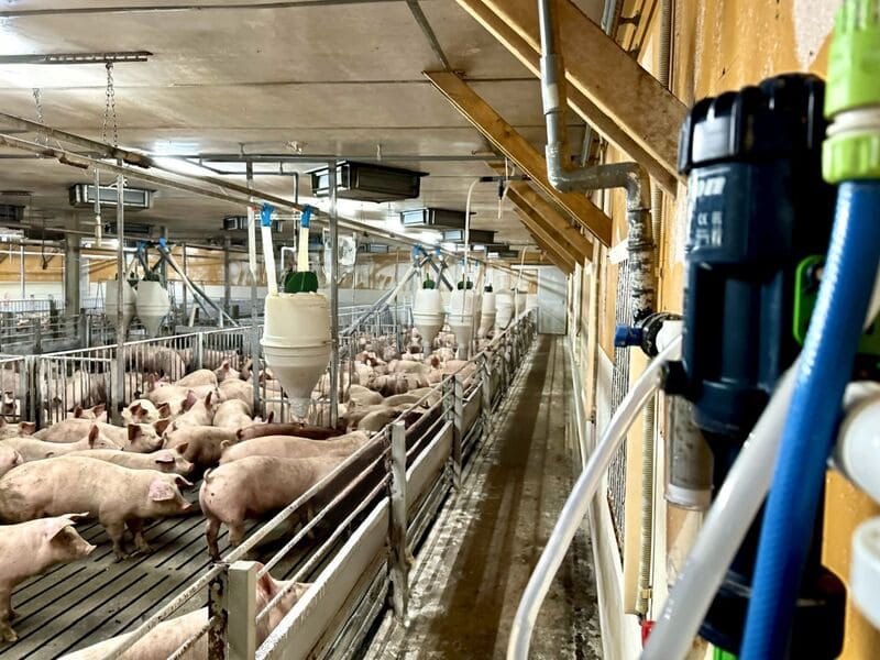 Come si integrano le pompe dosatrici negli impianti di abbeveraggio esistenti