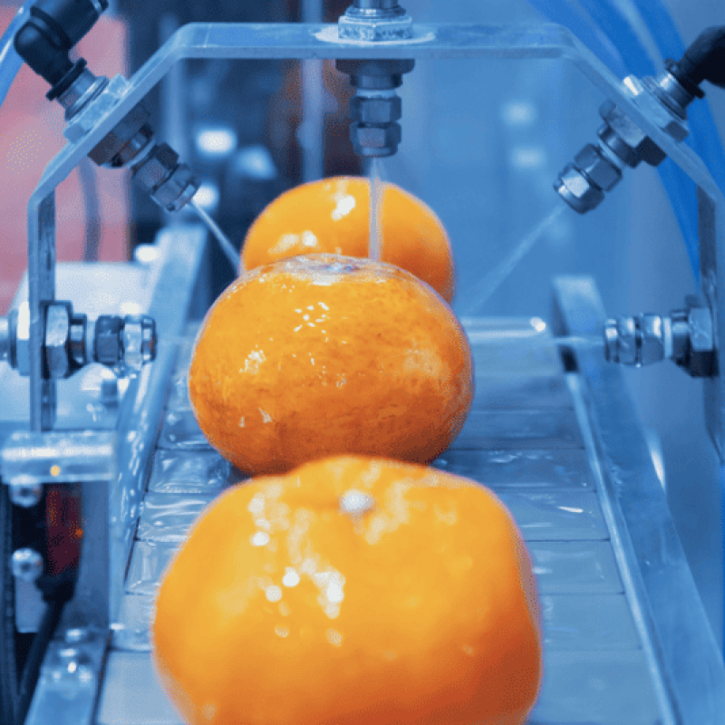 Sanitization in the food industry: which dosing pump to select?